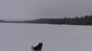 Промысловая рыбалка