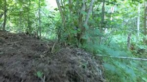 ЭТО ВАМ НЕ 6 соток, ДЖУНГЛИ НА ХУТОРЕ