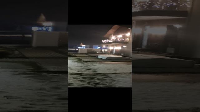 Весна на Новый год. Ленобласть 23.12.2024. Создаем новогоднее настроение