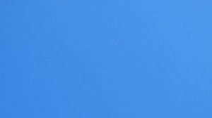 Голуби, что лучше Зима или Лето...