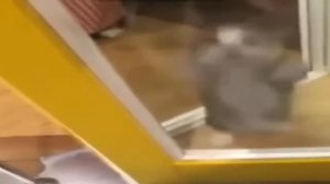 шни шна шнапи | Оригинал