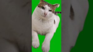 Футажи для монтажа§