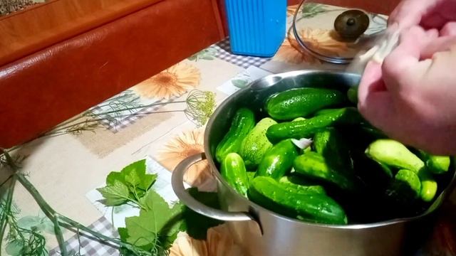 Бочковые огурцы смотреть онлайн