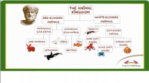 Taxonomy. Action 11grade