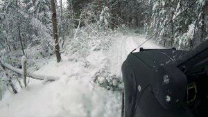 ОХОТА на копытных по снегу. "НА ОХОТЕ - ЗНАЧИТ НА ОХОТЕ"