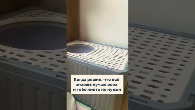 Когда решил, что всё знаешь лучше всех