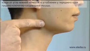 Невралгия затылочного нерва