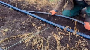 Закладываем трубу для полива под землю. Дачный водопровод.