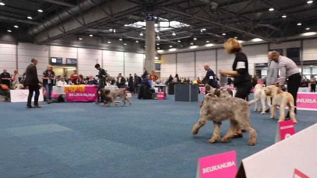 MVI 8072 смотреть онлайн