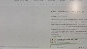 Новые КЛЕМАТИСЫ в сад. Там много всего супер красивого. Проверила зимовку в прикопе