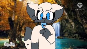 •Identities meme•// Super cat tales 2 // SCT2 // La_miaus_UwU