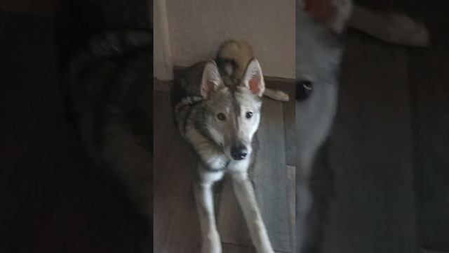 19 февраля 2024 г. смотреть онлайн