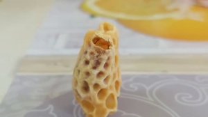 Рождение пчелиной матки/выход из маточника