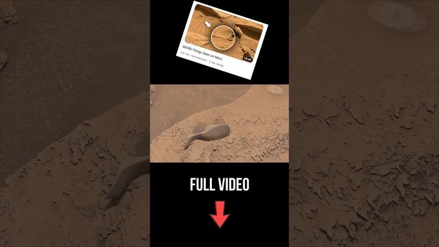 WEIRD Object Found on Mars!