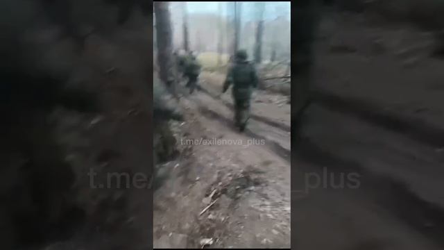 Эти четверо хоть подвижные, а те двое вообще никакие