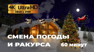 Новогодняя заставка 4К 3D для ТВ. Зимний ночной новогодний лес. Живые звуки природы.