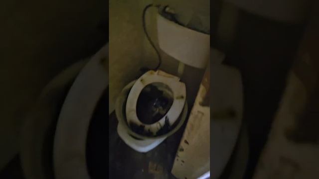 Видео квартиры