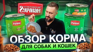 Влажный корм для кошек и собак "Четвероногий гурман" | разбор состава, плюсы и минусы