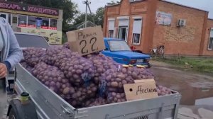 ЕЙСКРынок выходного дня, в станице Старощербиновская. В Плодовое, за яблоками