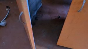 ЕйскМоревка. Помогаем Ирине и Володе Ремонт квартиры. С чего начать?