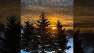 Гладков (финал) Падал прошлогодний снег)