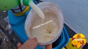 Молоко+йод лучшая подкормка для клубники после цветения. Чем подкормить клубнику после цветения.