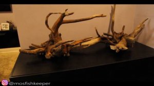 Строительство аквариумной системы на 1100 литров. Аквариум. Коряги. Часть вторая