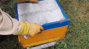 БЫСТРО УВЕЛИЧИТЬ СИЛУ СЕМЕЙ ВЕСНОЙ