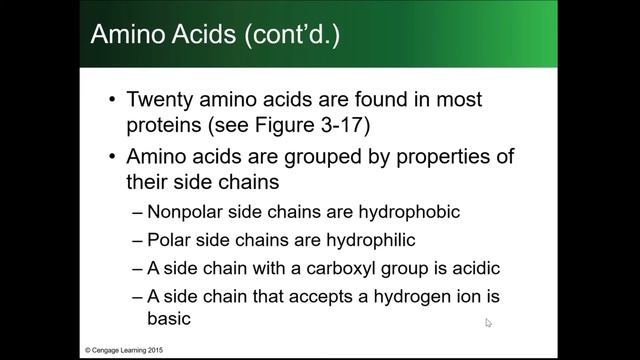 AP-BIOLOGY [STRUCTURE OF AMINO ACIDS]