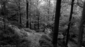 04. 04.  Зинаида Миркина.  Сказка о конце и начале света.