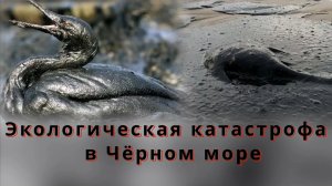 ПРАВДА о КАТАСТРОФЕ на МОРЕ 🖤