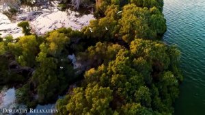 Релакс. Животный мир. mp4