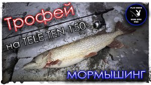 Трофей на TELE TEN 150. Мормышинг. Подарок под новый год.