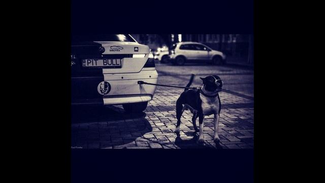 248VokZal - "Собаку съел" (2019) смотреть онлайн