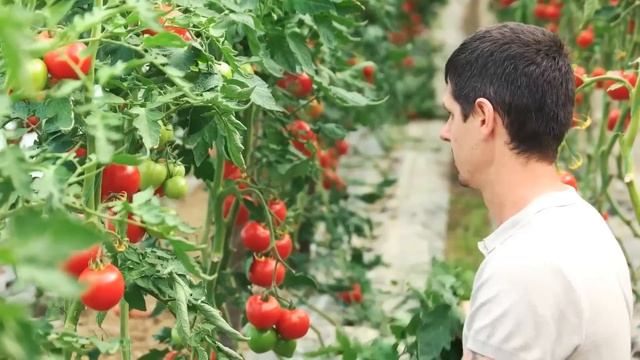 Israel Advance Agriculture Technology in Hindi