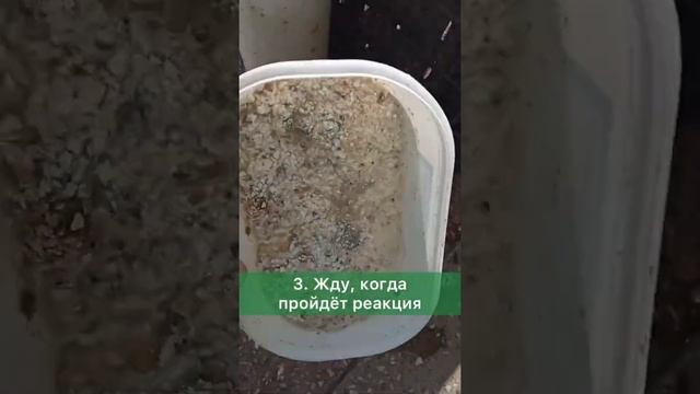 Кальций - самый главный минерал для нашего организма. смотреть онлайн