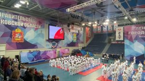 Чемпионат Московской области по карате киокусинкай 2023/Первый опыт большого соревнования/Мой Влог