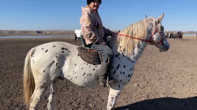 Ак Бата Улак кок бору 26.01.2022 смотреть онлайн