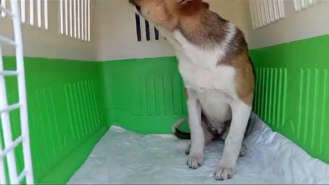 от малышки отказались ручки😭