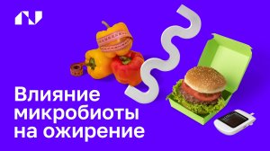 Почему не получается похудеть?