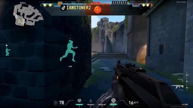 VALORANT LVL 20 GRIND  *BDAY STREAM* смотреть онлайн