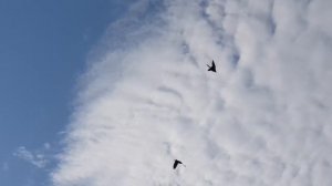 29.06.18. Много вранья в интернете.