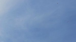 День пионерии гоняем голубей