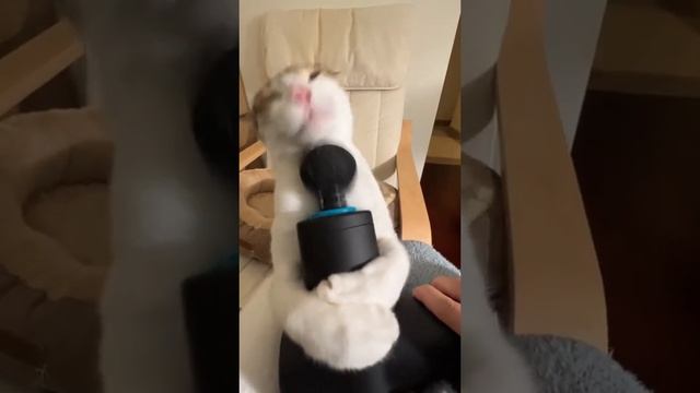 Девушка массирует киску смотреть онлайн