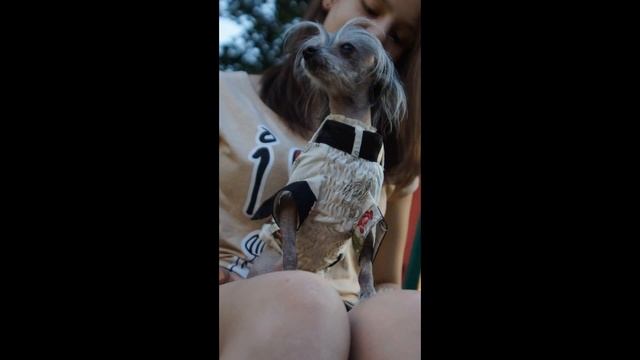 летняя коллекция от компании НЮАНс