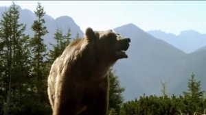 Хоп Лэй Юрий Ростовцев