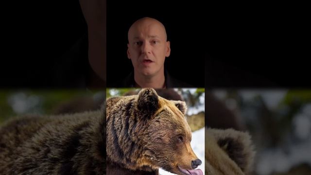 Расплата жизнью за клин Сайги