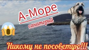 А-МоRe. Электричества.net / История повторяется / Санаторно-курортные путёвки для пенсионеров.