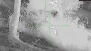 Охота секача