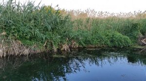 16 -  31 мая 2024